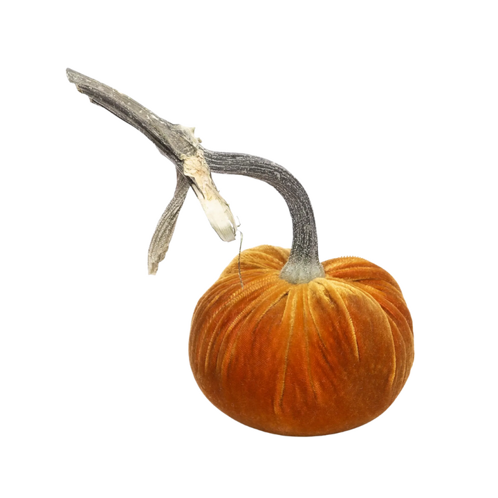 HOT SKWASH VELVET PUMPKIN 4"