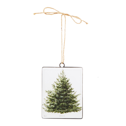 RAZ IMPORTS FIR TREE DISC ORNAMENT