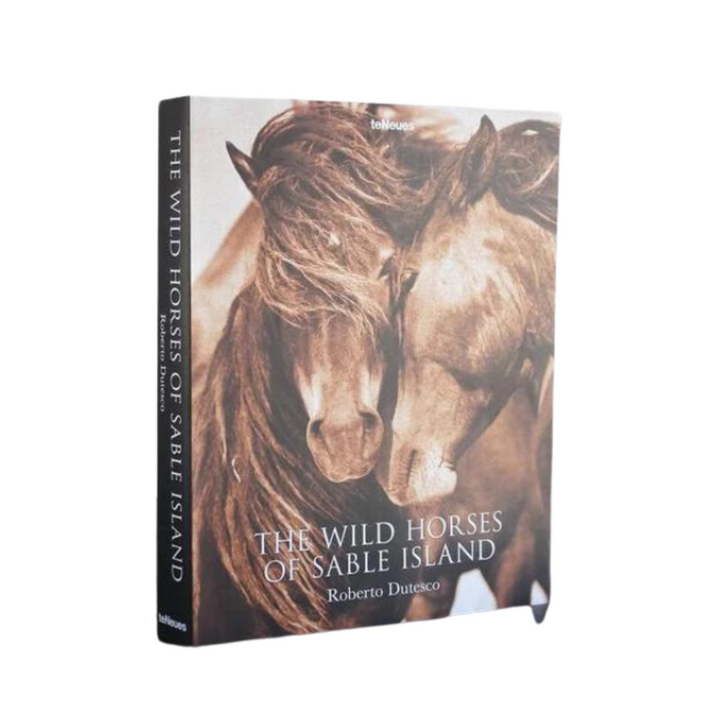 TENEUES Teneuse The Wild Horses Of Sable Island