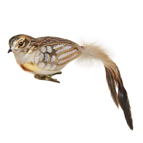 RAZ IMPORTS CLIP-ON FEATHERED TAIL BIRD ORNAMENT