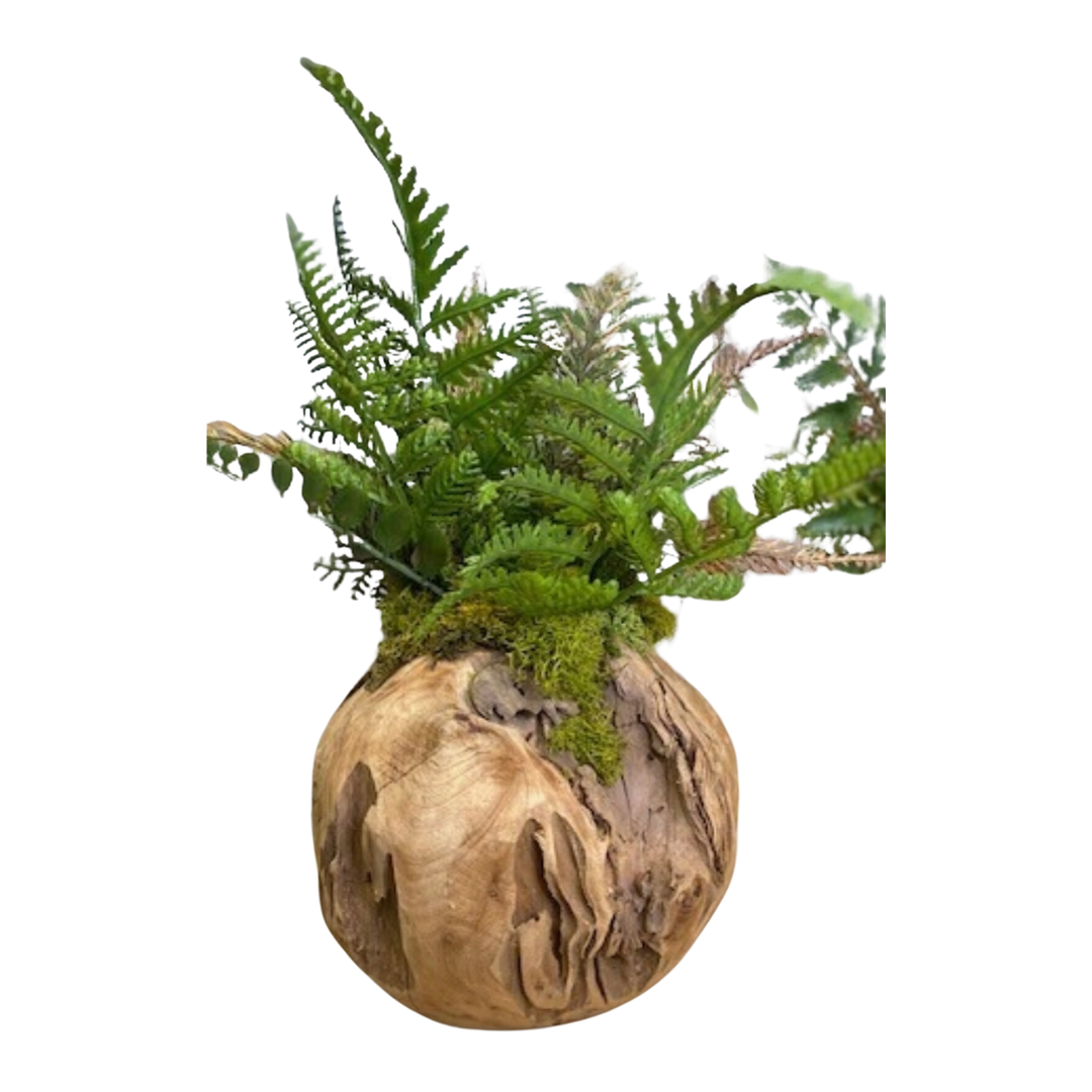 FOREVER GREEN ART Woodland Fern