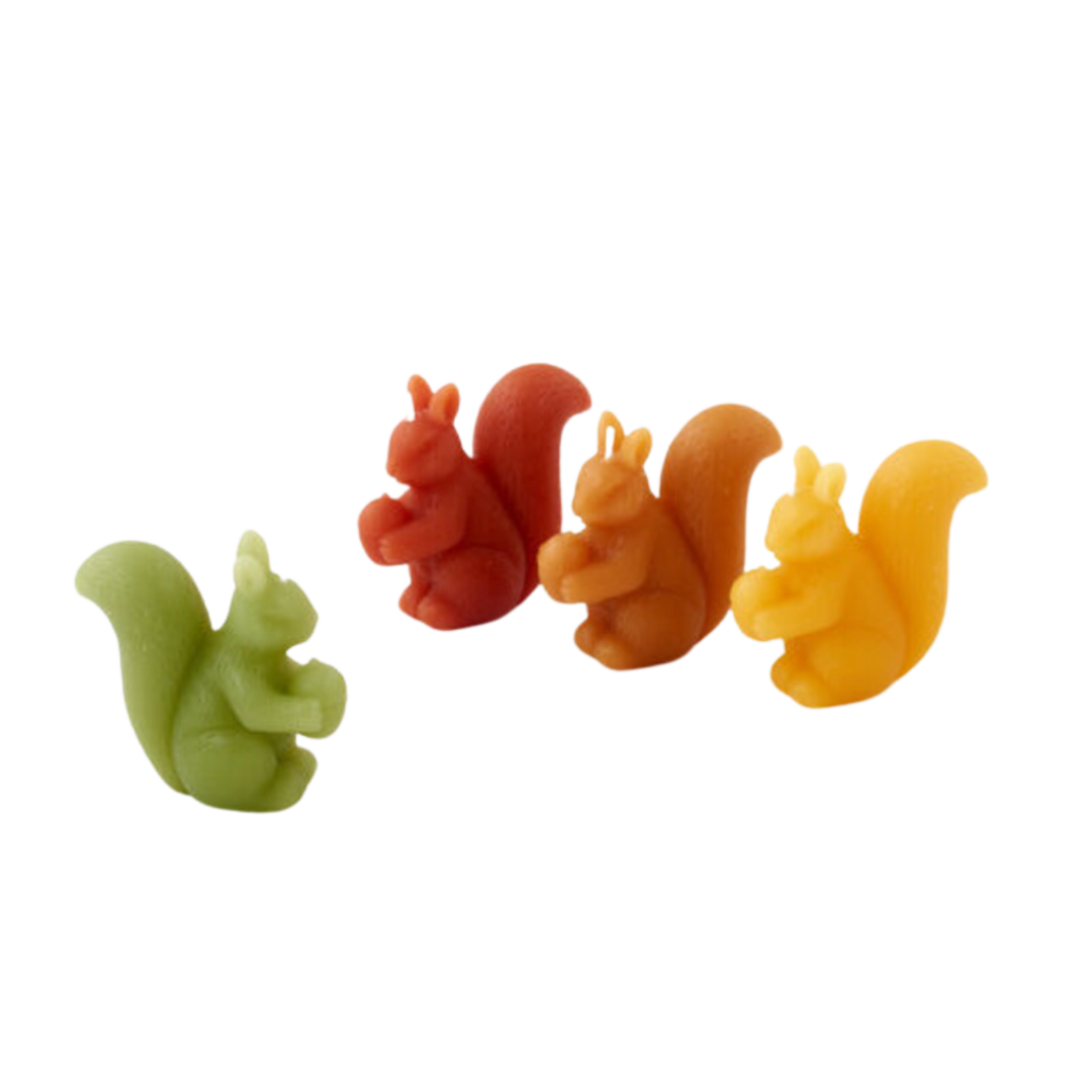 180 DEGREES Squirrel Candles Set of 4