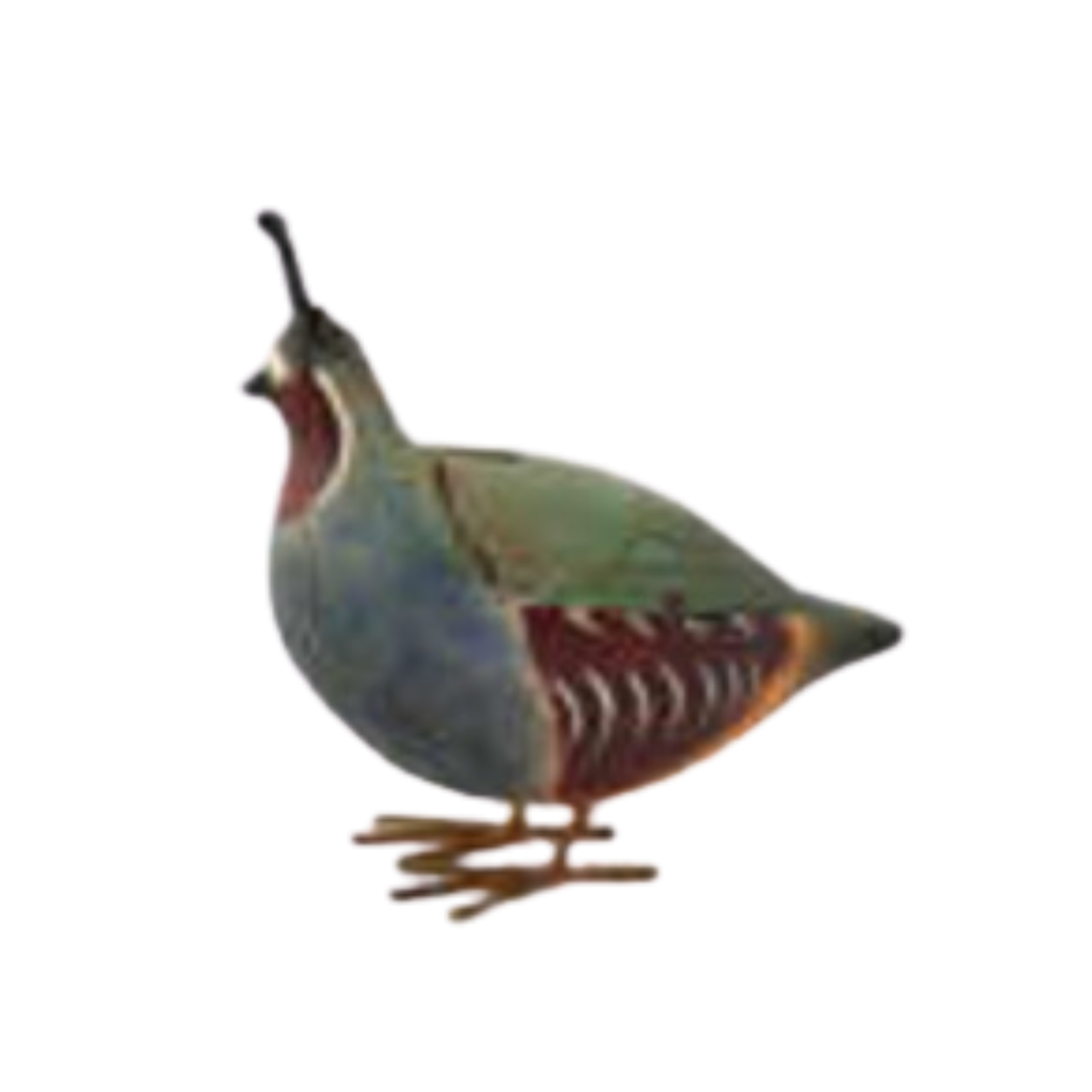 180 DEGREES Mountain Quail Box