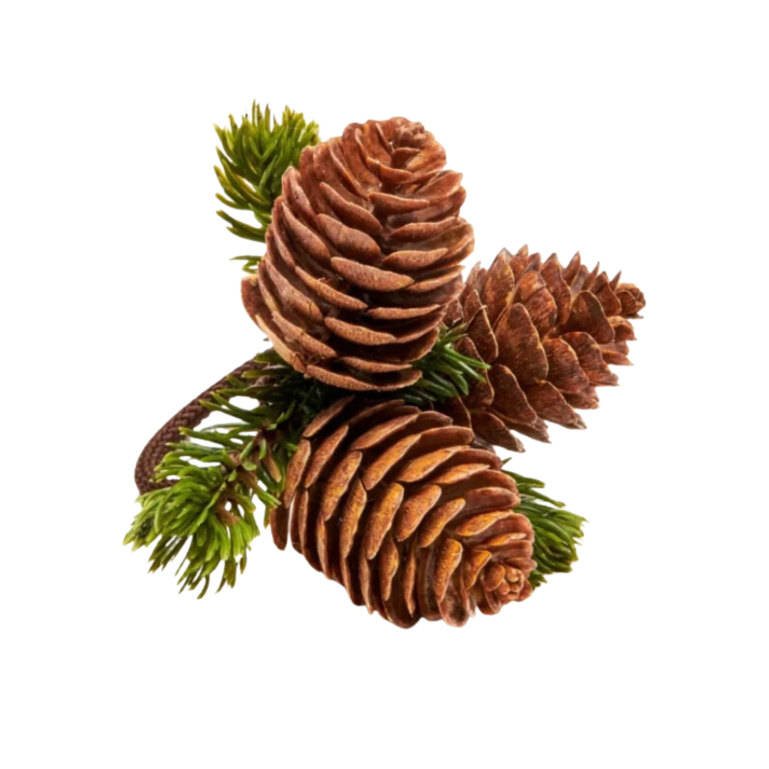 DEBORAH RHODES Individually Sold Brown Pine Cone Cluster Napkin Ring