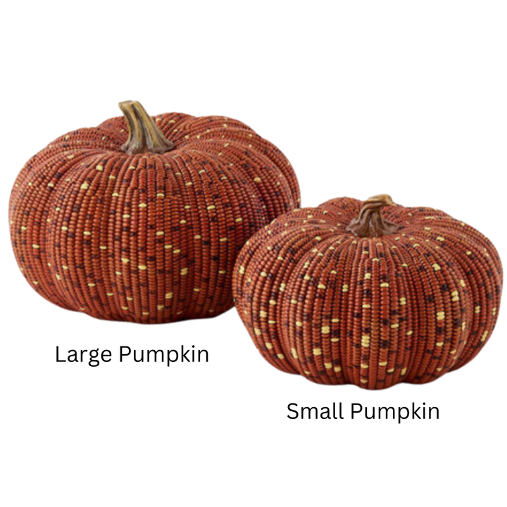 180 DEGREES Large Corn Pumpkin Sold Individually