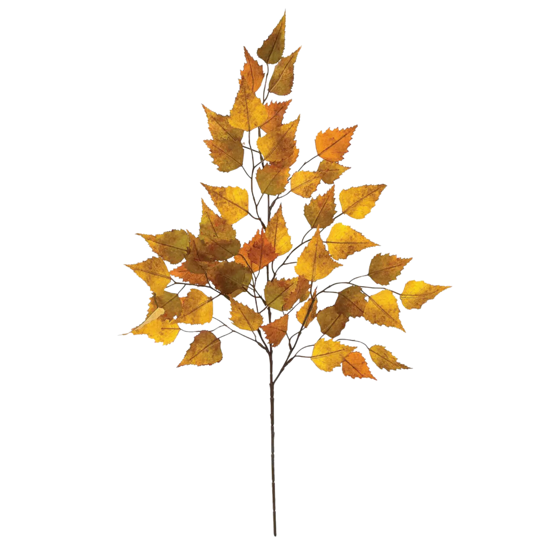 SULLIVANS Golden Brown Birch Spray