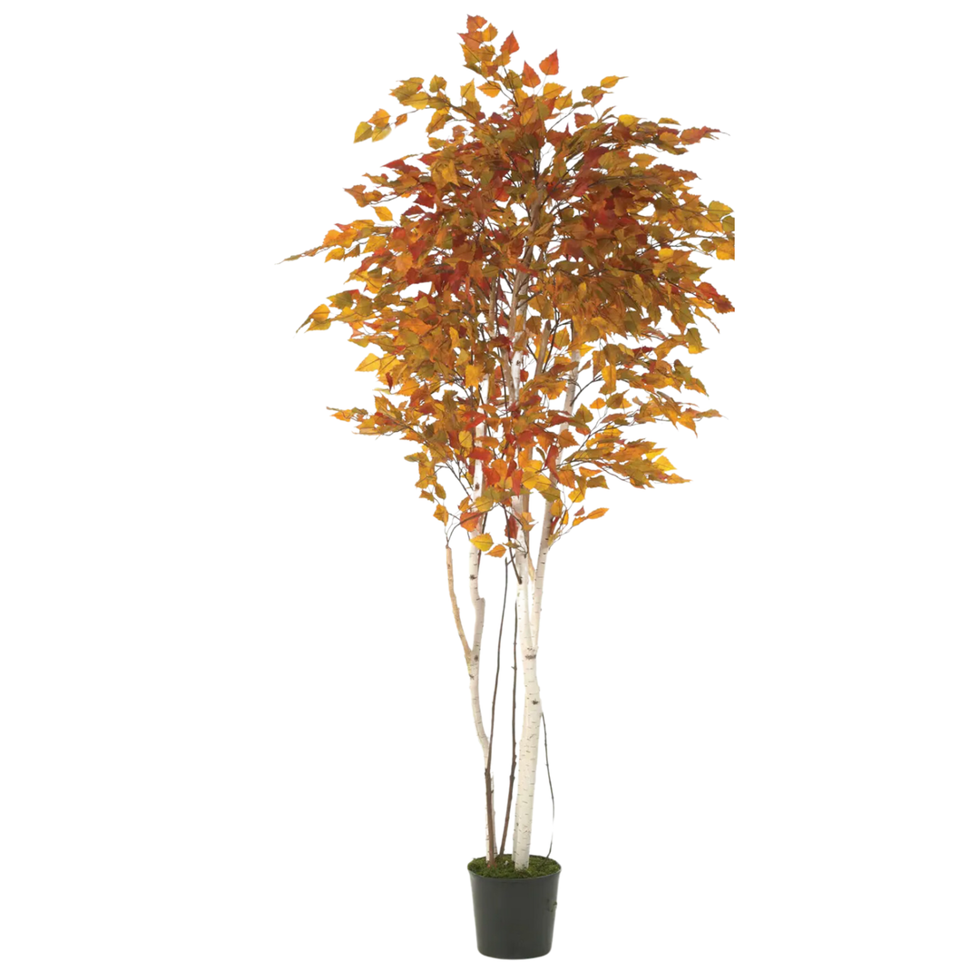 SULLIVANS 7 Foot Birch Tree Decor